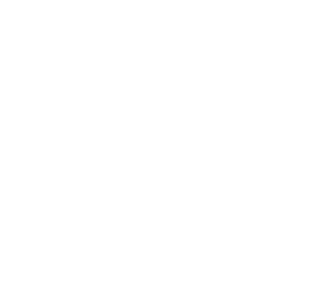 External Quality Import